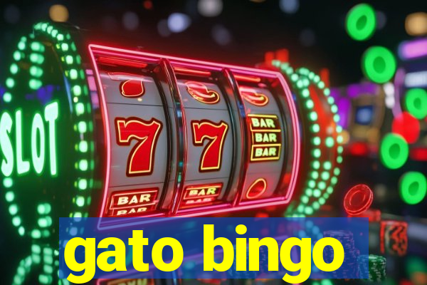 gato bingo