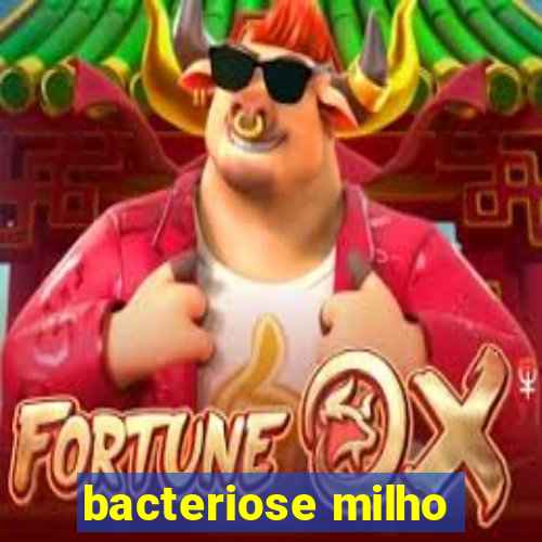 bacteriose milho