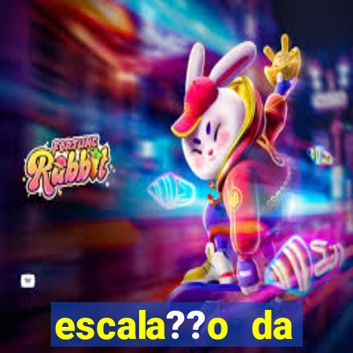 escala??o da bélgica hoje