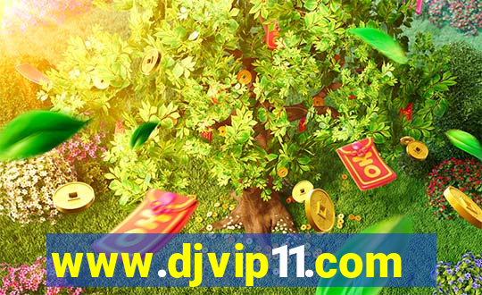 www.djvip11.com