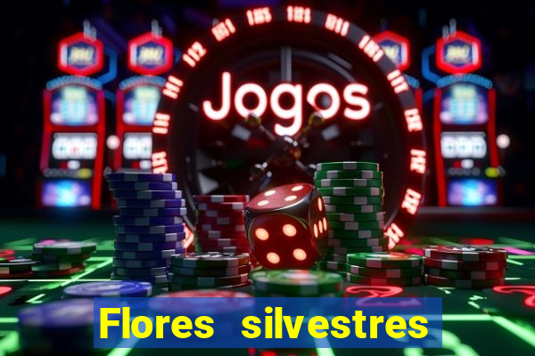 Flores silvestres brasileiras 25