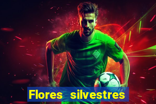 Flores silvestres brasileiras 25