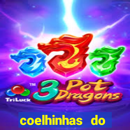 coelhinhas do brasil site