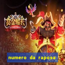 numero da raposa jogo do bicho