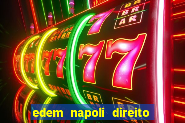 edem napoli direito constitucional pdf