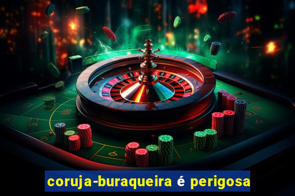 coruja-buraqueira é perigosa