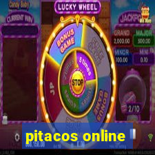 pitacos online