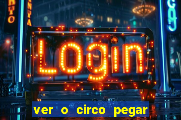 ver o circo pegar fogo significado