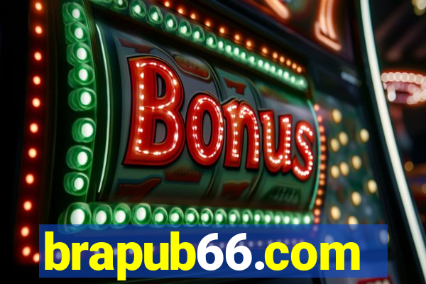 brapub66.com