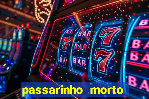 passarinho morto significado espiritual