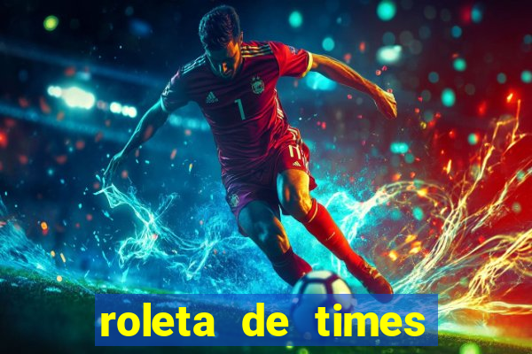 roleta de times brasileiros serie a 2024