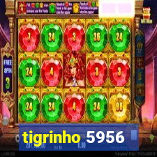 tigrinho 5956