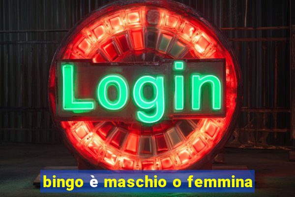 bingo è maschio o femmina