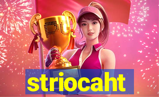 striocaht