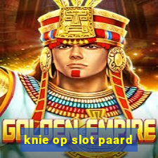 knie op slot paard