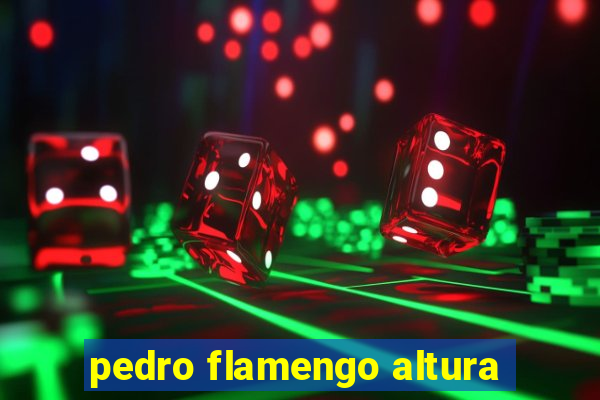 pedro flamengo altura