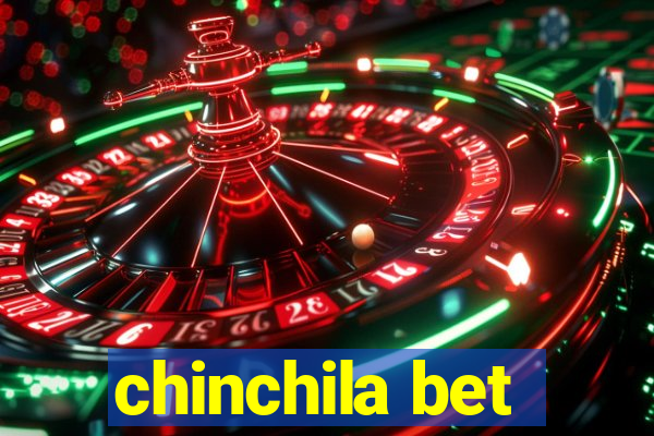 chinchila bet