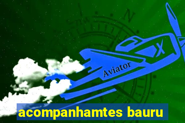 acompanhamtes bauru