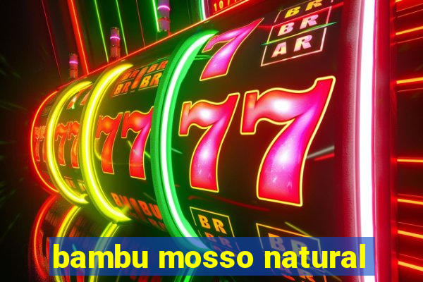 bambu mosso natural