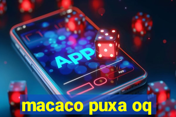 macaco puxa oq