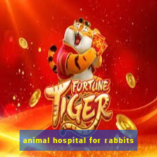 animal hospital for rabbits