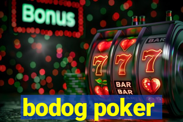 bodog poker