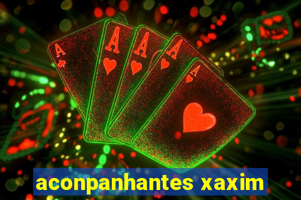 aconpanhantes xaxim