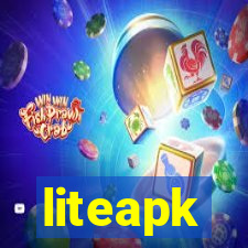 liteapk