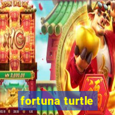 fortuna turtle