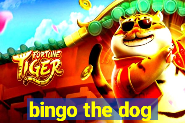 bingo the dog