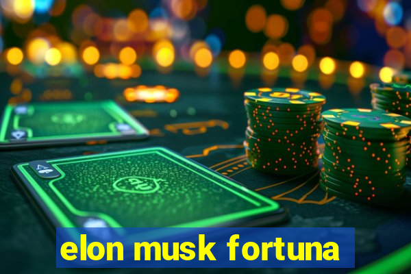 elon musk fortuna