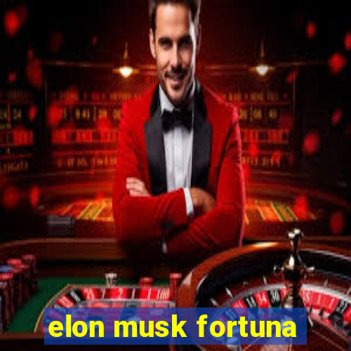 elon musk fortuna