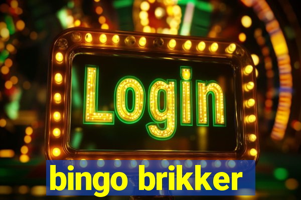 bingo brikker