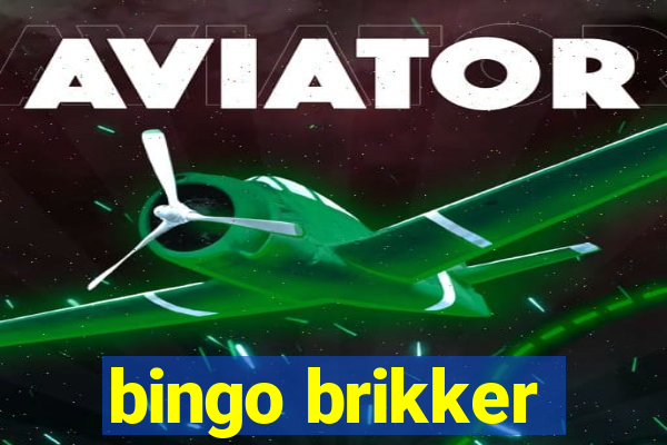 bingo brikker