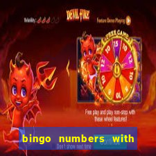 bingo numbers with highest probability