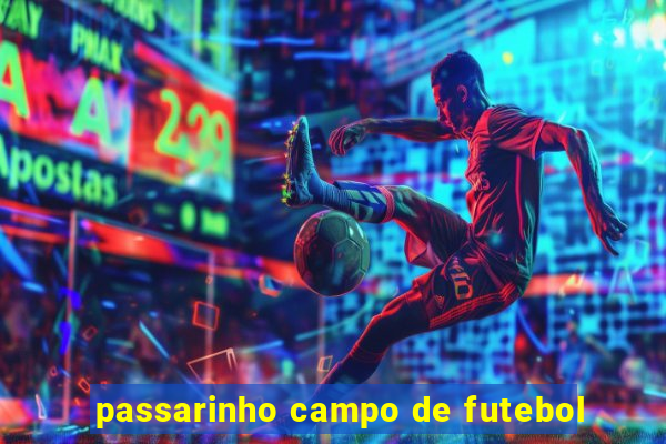 passarinho campo de futebol