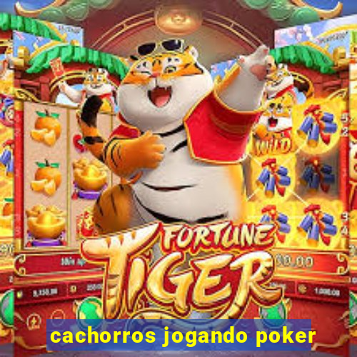 cachorros jogando poker