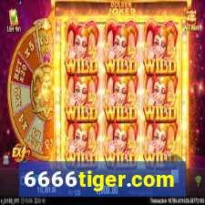 6666tiger.com