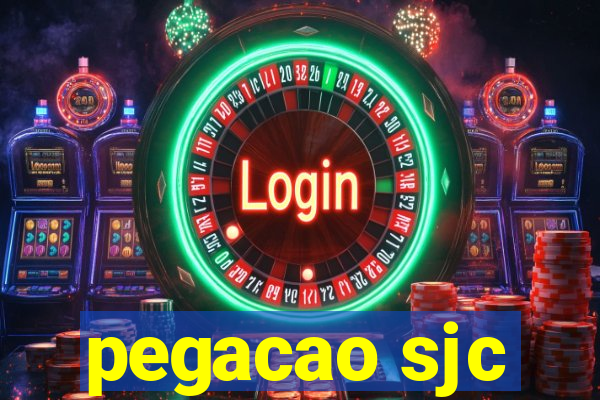 pegacao sjc