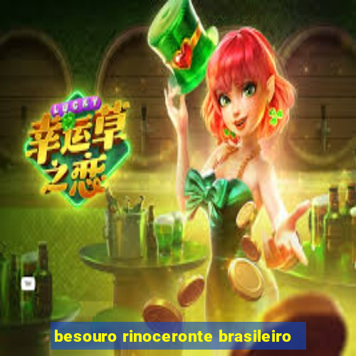 besouro rinoceronte brasileiro