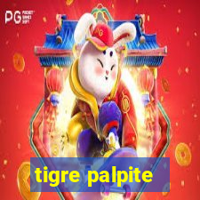 tigre palpite