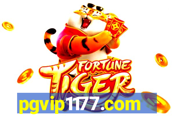 pgvip1177.com