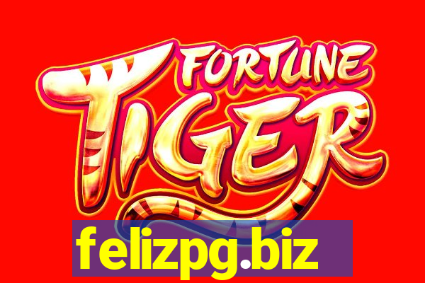 felizpg.biz