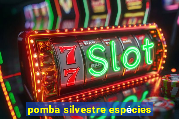 pomba silvestre espécies