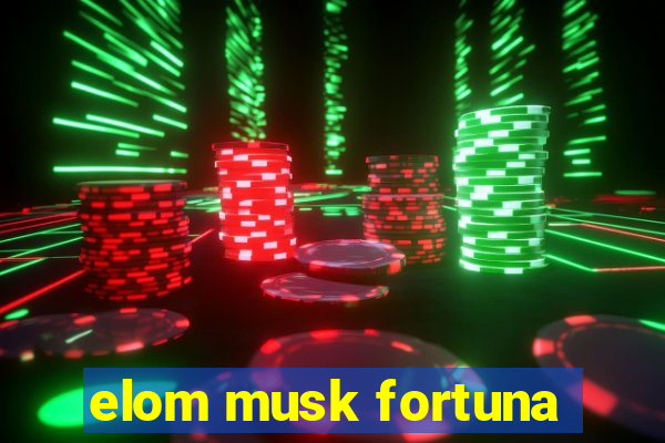 elom musk fortuna