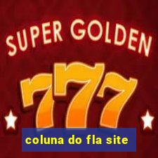 coluna do fla site