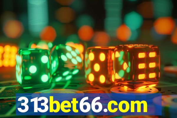 313bet66.com