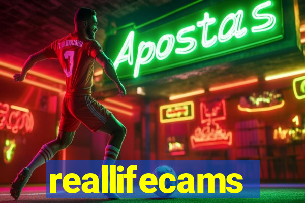 reallifecams