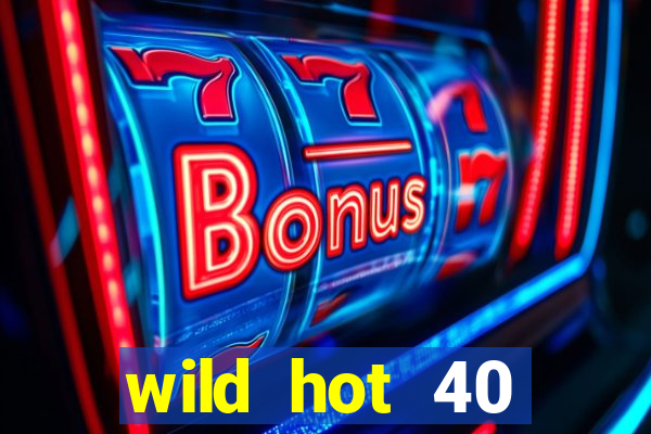 wild hot 40 christmas slot