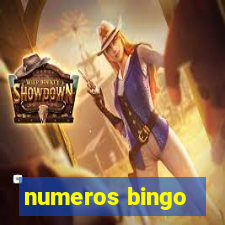 numeros bingo